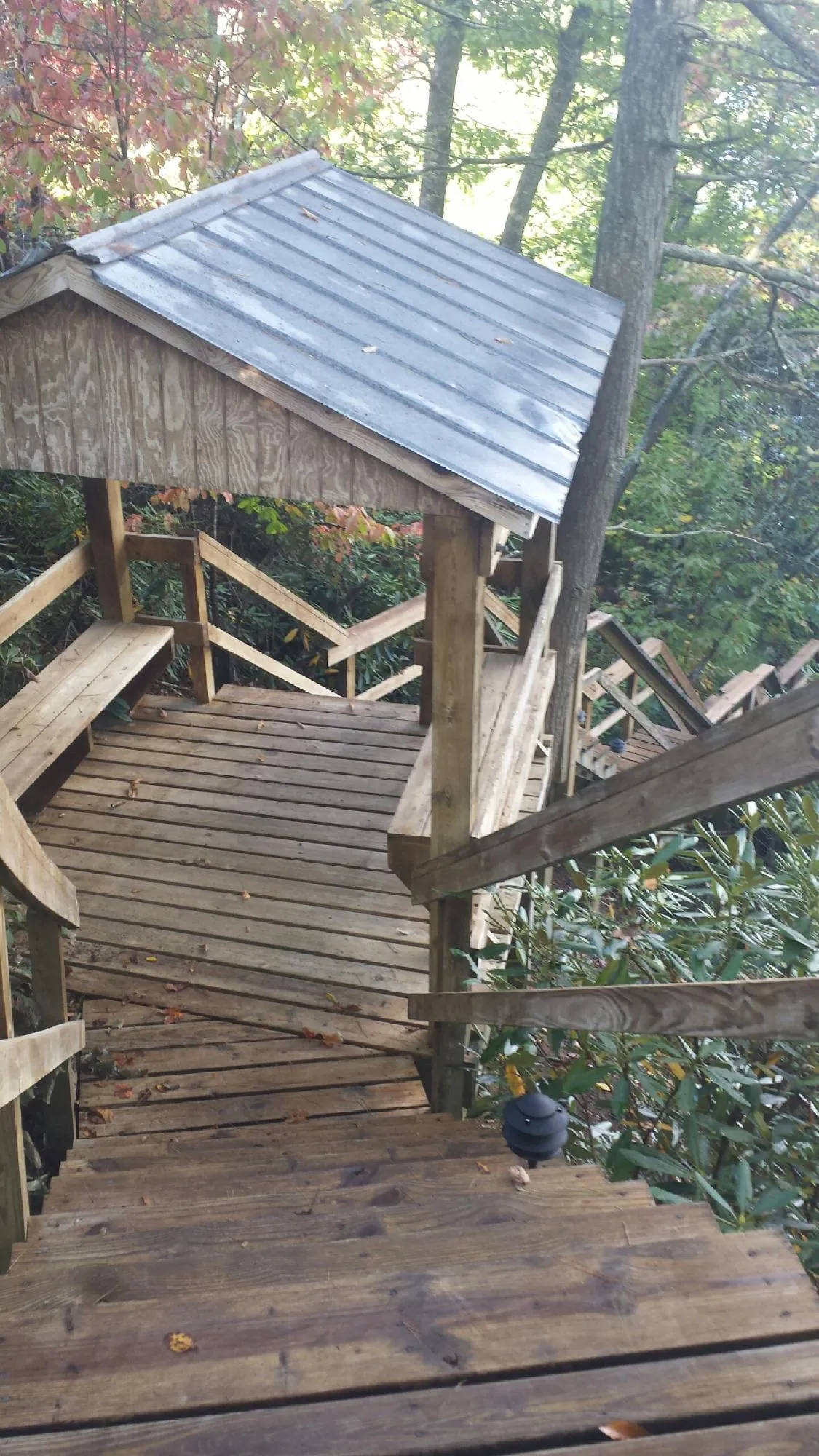 Metal roofed shelter over wooden steps on a wooded walkway — Skylight Repair & Installation work by our crew in Cary